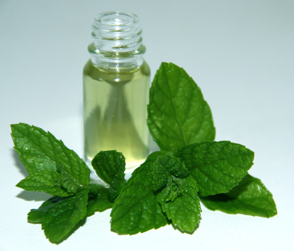 Mentha oil futures down on subdued demand